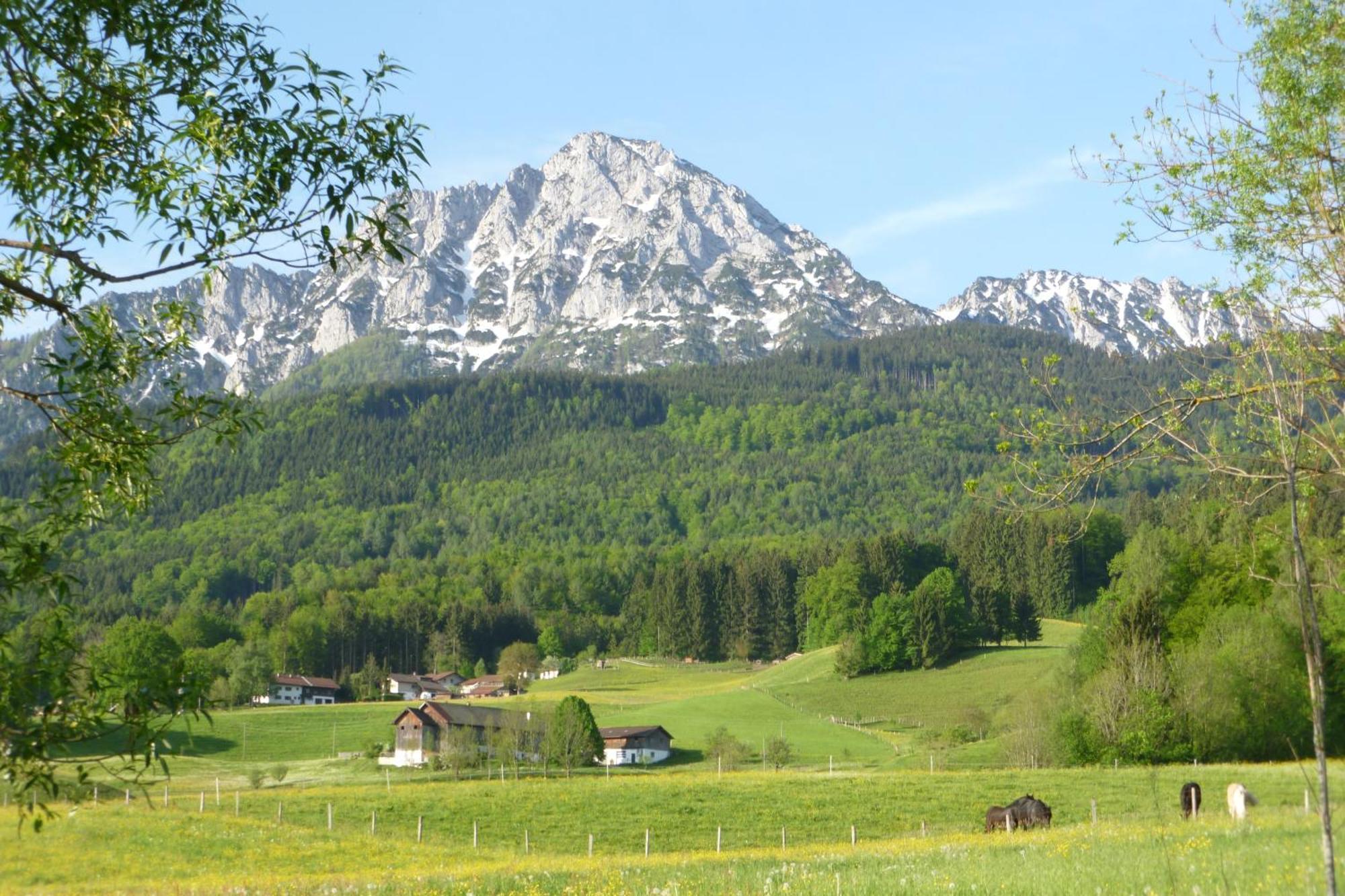 Landhaus Fuerberger Anger Zewnętrze zdjęcie