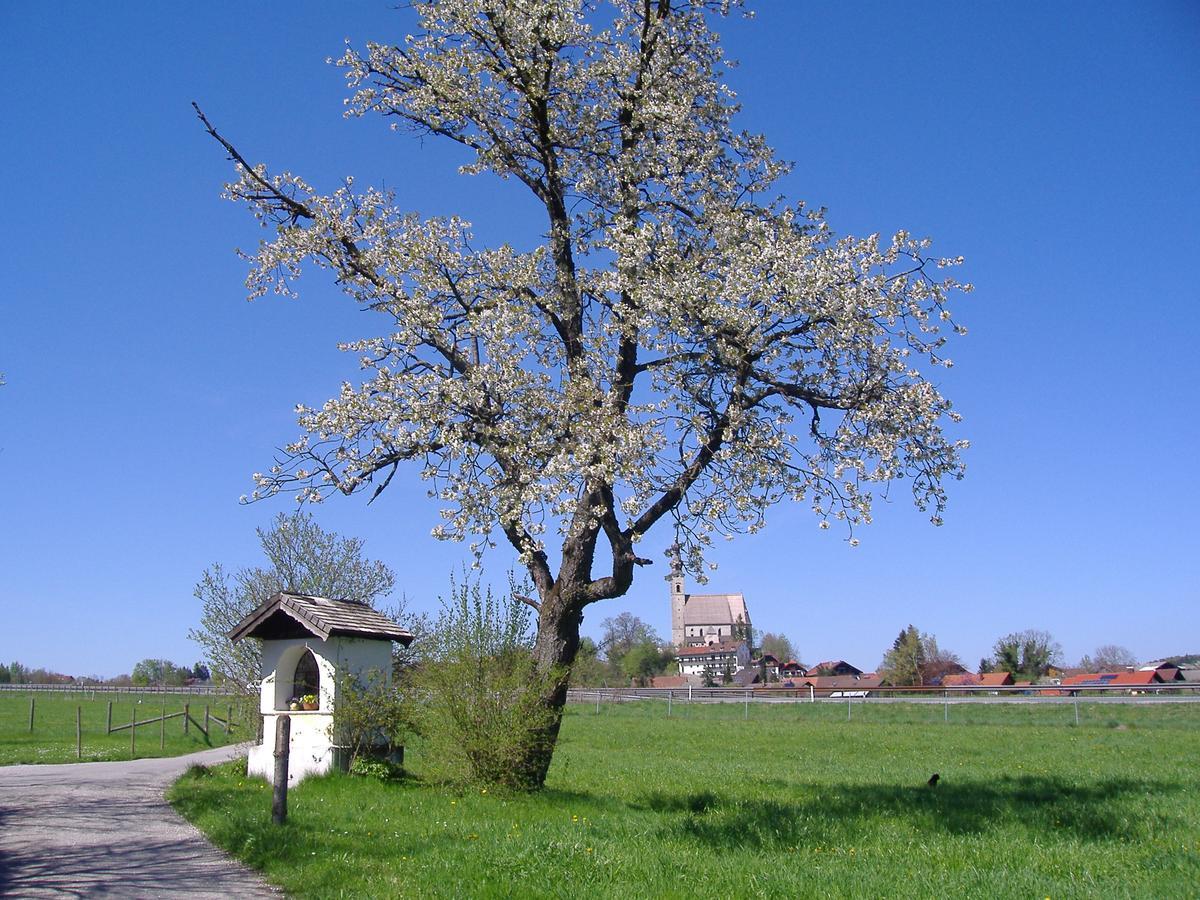 Landhaus Fuerberger Anger Zewnętrze zdjęcie